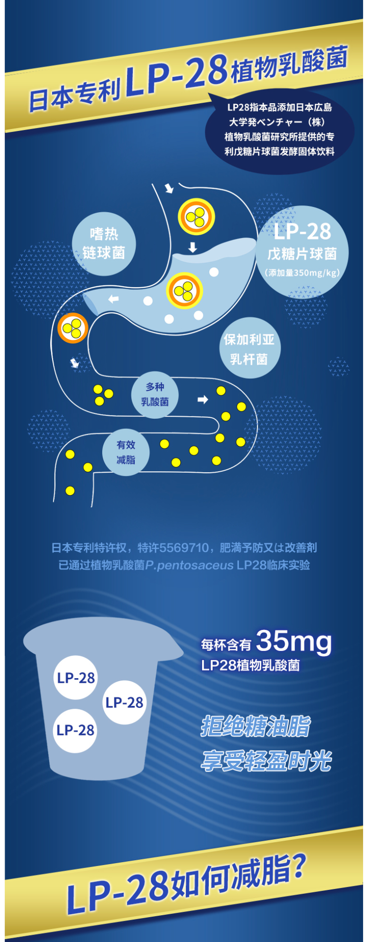 日本广岛大学研制北海牧场0蔗糖专利lp28乳酸菌减肥酸奶100g12杯