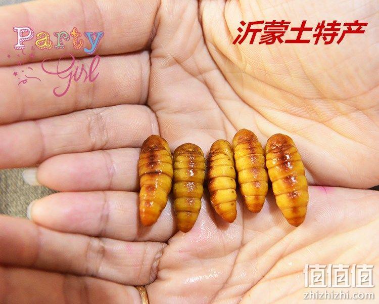 沂蒙土特产新鲜金丝蚕蛹1斤