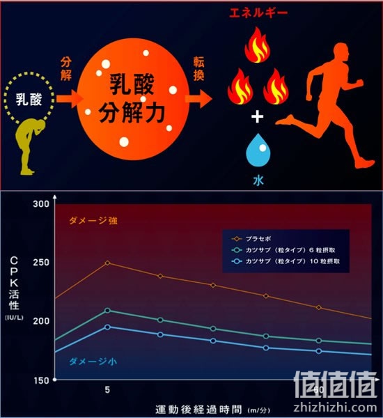 肌鲣强服用试验,排酸神器!