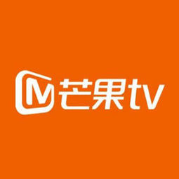 大额神券:芒果tv会员 13个月 手机 电脑不含tv