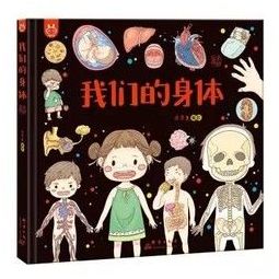 我们的身体画给孩子的人体探秘之旅中国人漫画科普洋洋兔童书36岁10件