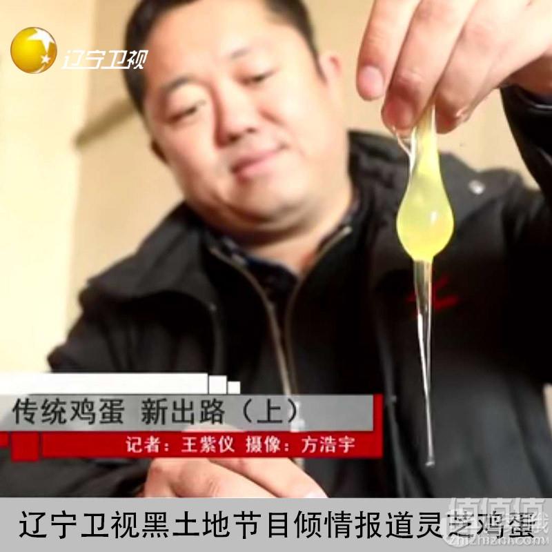 盘锦特产，赵圈河  营养新鲜灵芝鸡蛋农家柴土鸡蛋礼盒30枚29.8元包邮（需领券）