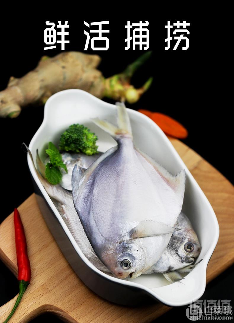 金益康 鲜活冷冻银鲳鱼3斤48元包邮（双重优惠）