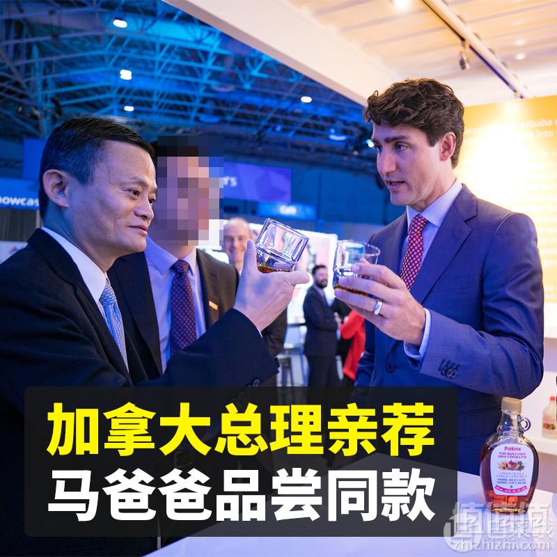 加拿大总理亲荐 PURNATUR 加拿大进口枫叶糖浆 1L家庭装 赠燕麦片1kg史低149元包邮（需用券）