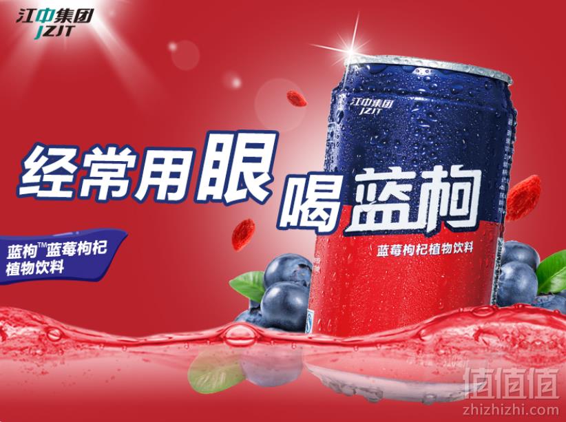 江中 蓝莓枸杞植物饮料 310ml*12罐装 整箱新低29.8元包邮（需用优惠券）