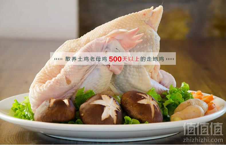 百年栗园  密云水库老母鸡 2斤*6件 ￥197包邮32.8元/件（需领券）