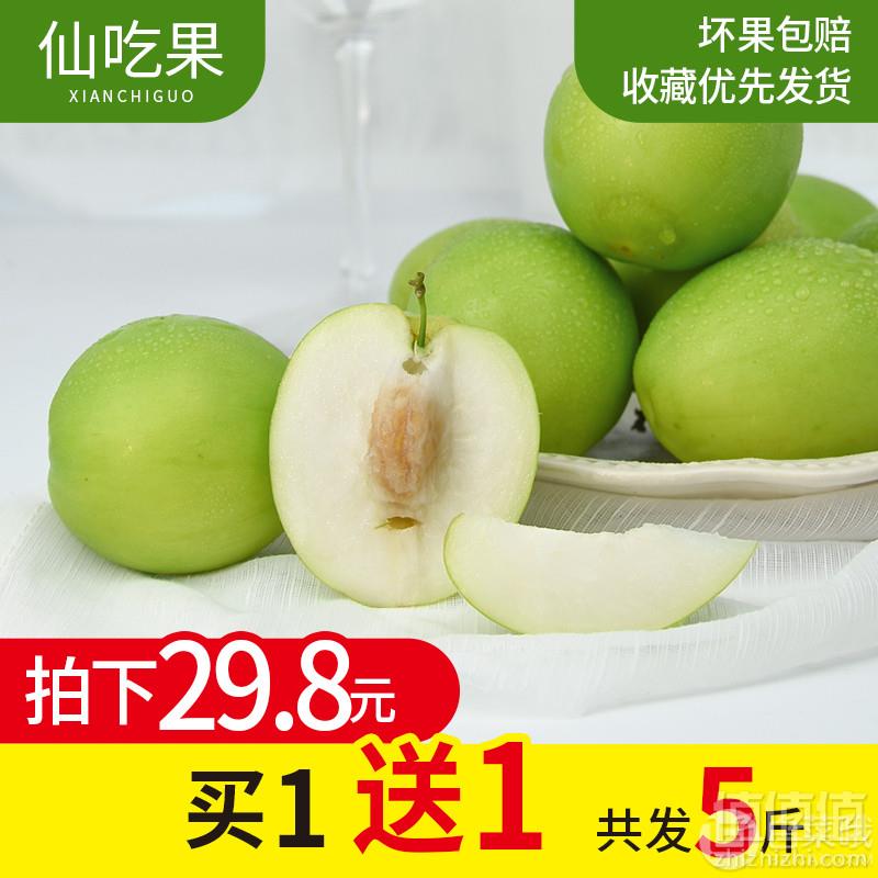 仙吃果 福建漳州牛奶枣大青枣5斤24.8元包邮（需领券）