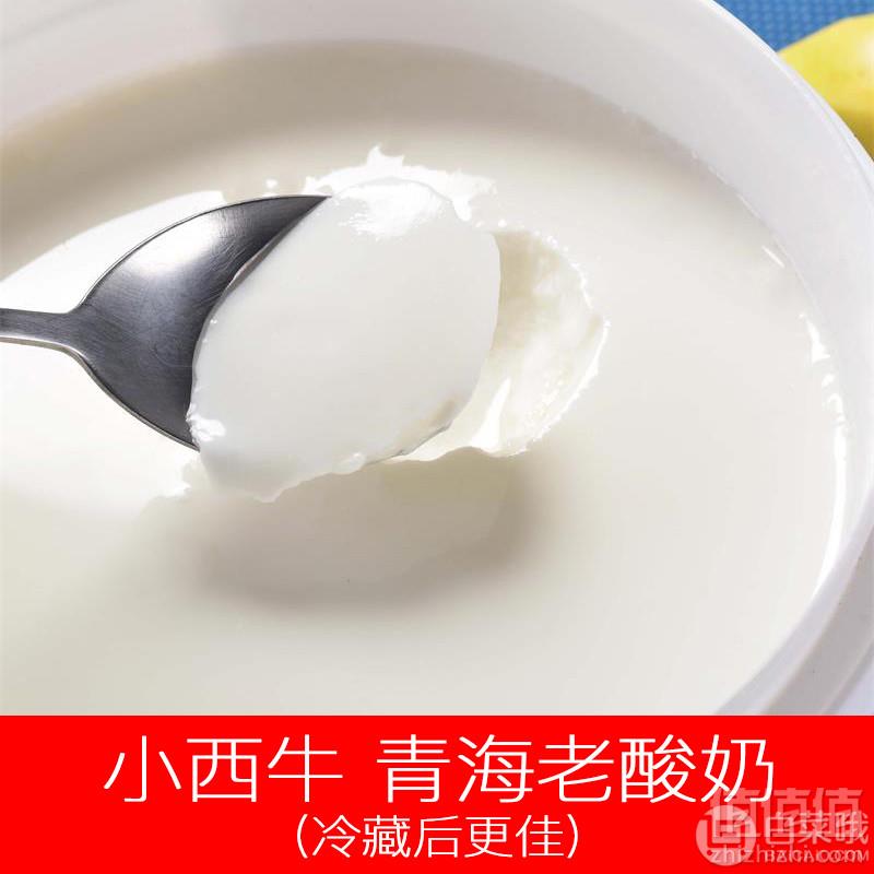 小西牛 青海老酸奶 高原低温酸奶 1kg24.9元包邮（需领券）