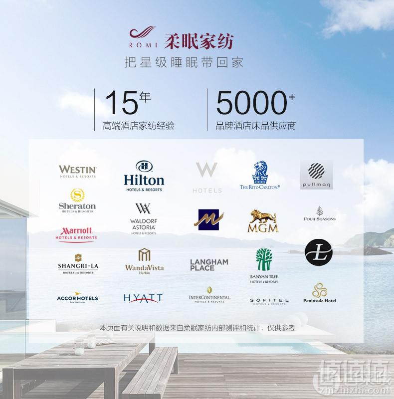 希尔顿酒店床品供应商，柔眠家纺 白鹅毛羽绒枕头2只79.8元包邮（需领券）