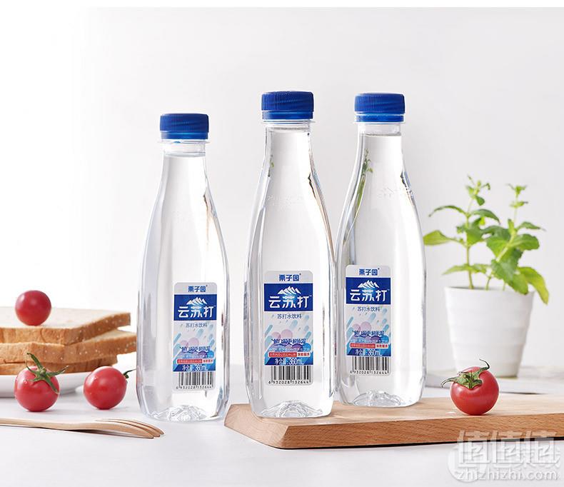 栗子园 弱碱无糖 云苏打水 360ml*15瓶21.9元包邮（需领券）