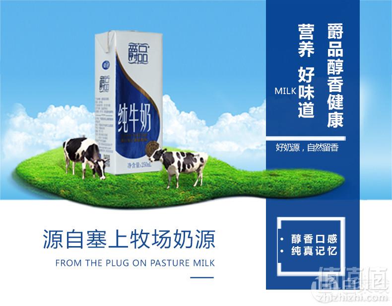 国家重点龙头乳业，夏进 爵品纯牛奶 250ml*12盒整箱38元包邮（需领券）