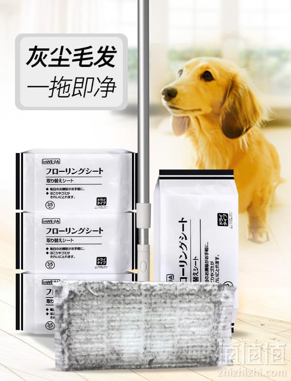 懒人福音，日本 inwejia 静电除尘拖把套装新低29元包邮
