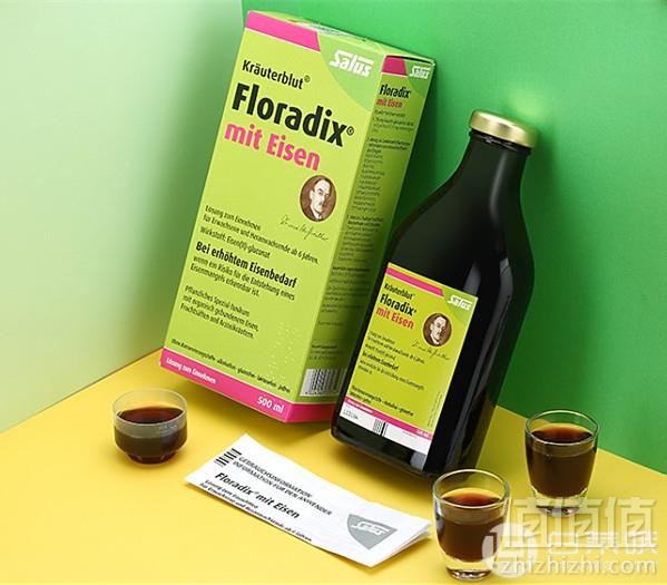 è¡¥è¡å£åï¼Salus Floradix éå ç»¿ç¶ 500ml*3ç¶ â¬39åååè´¹ç´é®å°æ312å