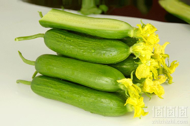 一亩秋田 新鲜水果黄瓜 5斤装20.8包邮（需领券）