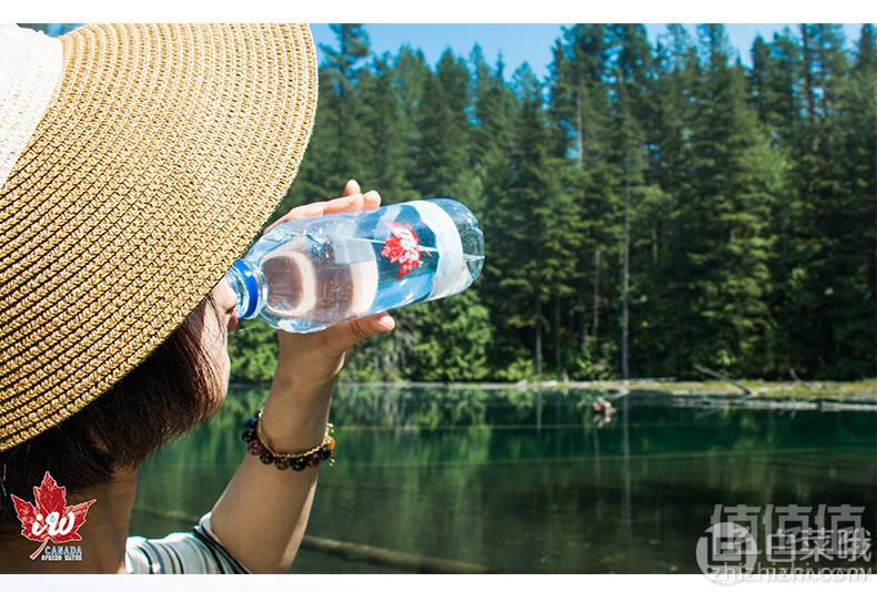 加拿大进口，Iwspringwater 冰川天然饮用水500ml*24瓶49元包邮（需领券）