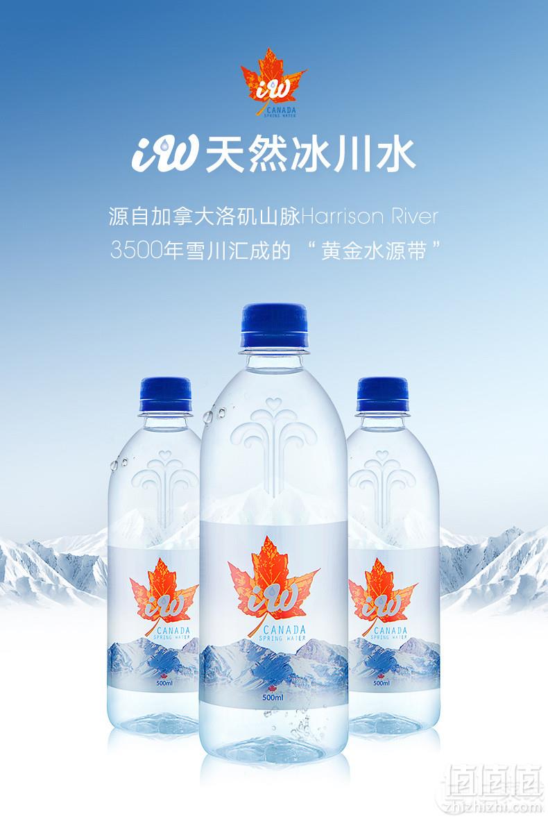 加拿大进口，Iwspringwater 冰川天然饮用水500ml*24瓶49元包邮（需领券）