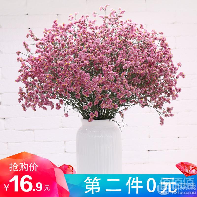 欣华隆 勿忘我满天星 云南天然干花 2束 多款可选11.9元包邮（双重优惠）拍2件