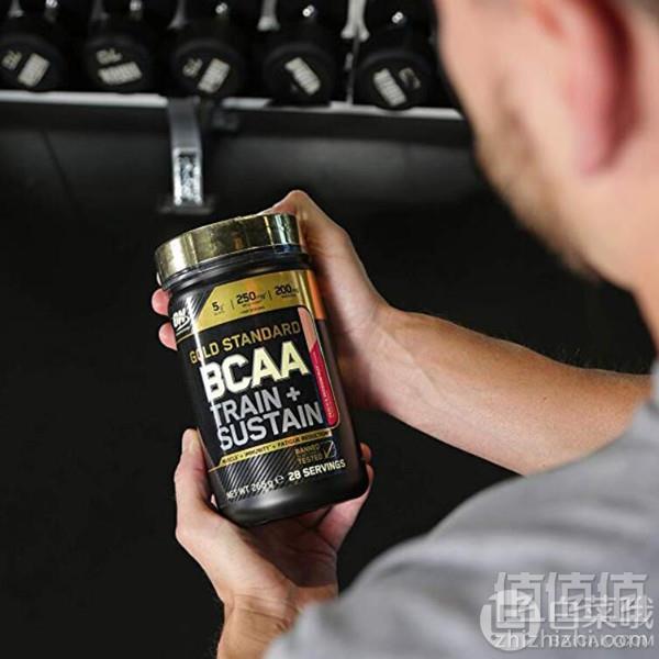 Optimum Nutrition 欧普特蒙 金标 BCAA支链氨基酸266g 草莓猕猴桃味 Prime会员凑单免费直邮含税到手164元