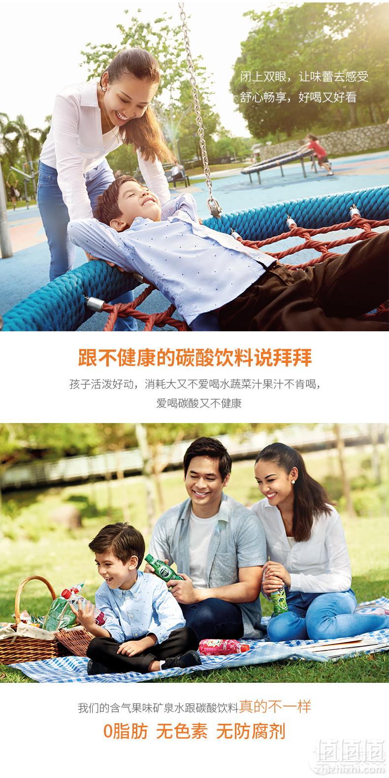 马来西亚国会用水， SPRITZER 事必胜 POP黑加仑/苹果味气泡水 325ml*24瓶43元包邮（需领券）1.8元/瓶