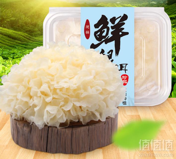 古松 新鲜银耳白木耳鲜活雪耳6朵26.8元顺丰包邮（需领券）