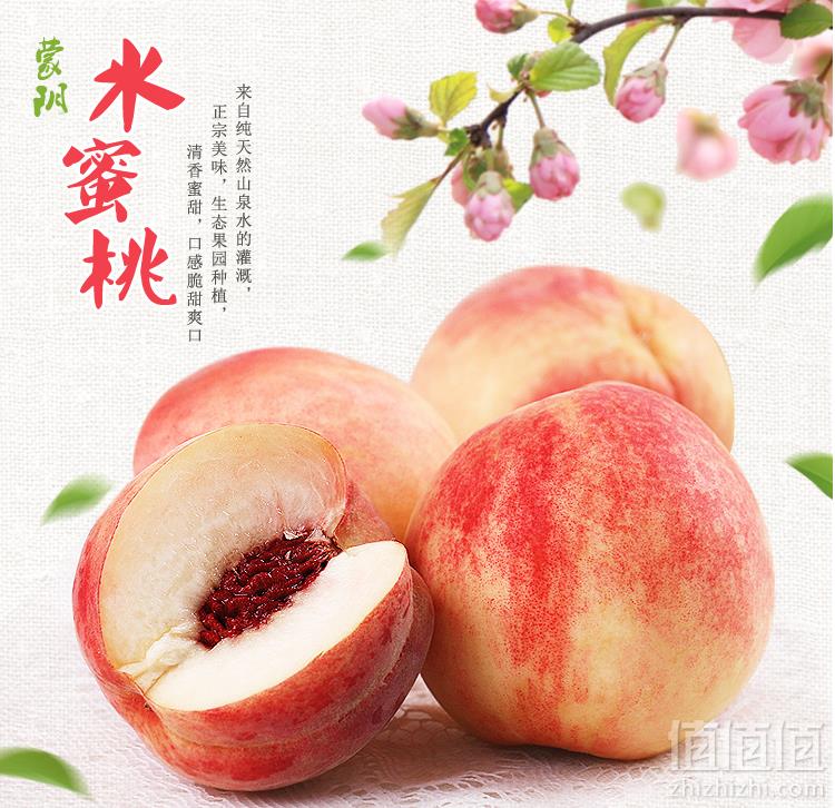 预售，国家地理标志农产品 品希 蒙阴水蜜桃5斤25.8元包邮（双重优惠）拍5件