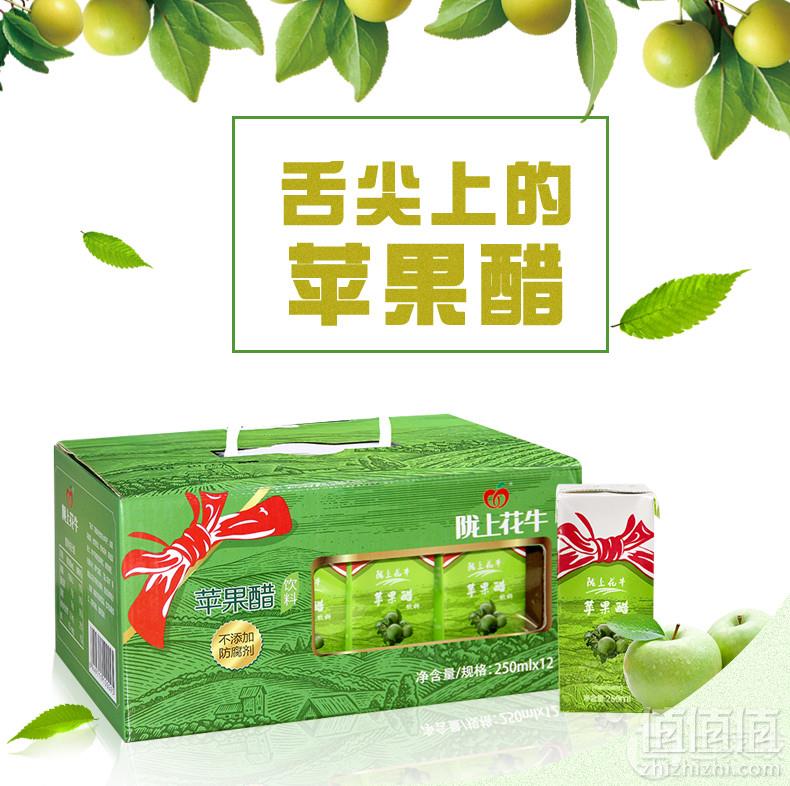 陇上花牛 原浆苹果醋 250ml*12盒28元包邮（需领券）