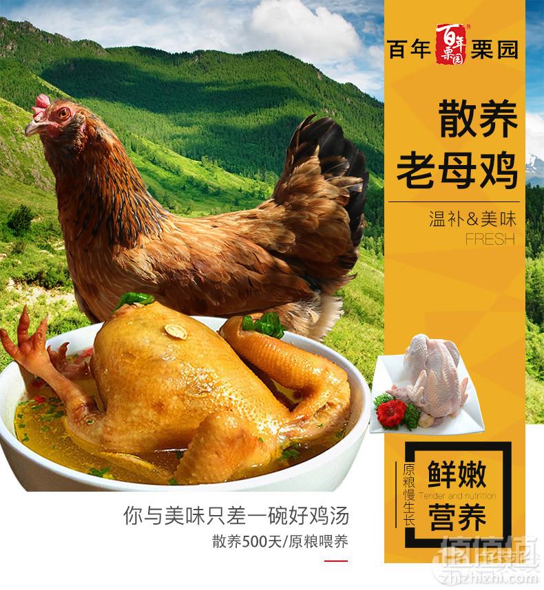 百年栗园  密云水库老母鸡2斤*2件76元包邮（双重优惠）