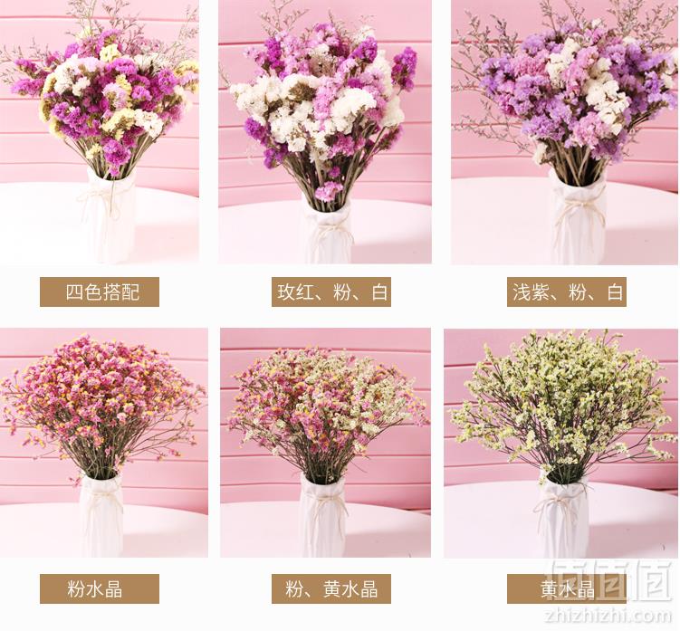 拾光花坊 云南天然干花花束*2束10.8元包邮（双重优惠）拍2件