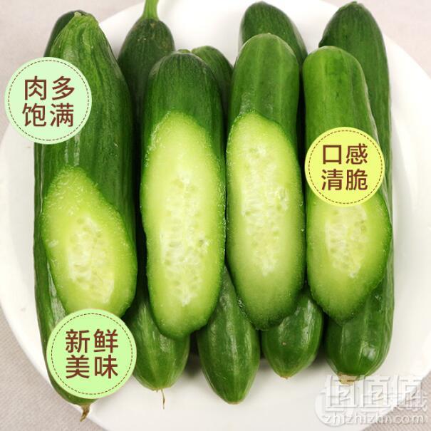 鲜本色 山东特产 新鲜水果黄瓜 5斤17.9元包邮