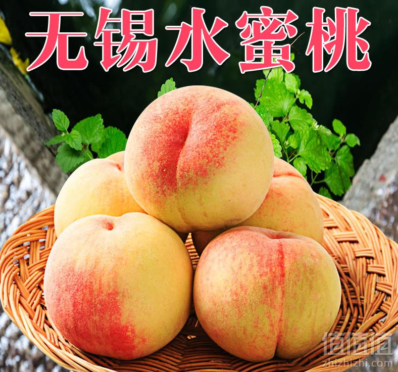 古城遗食 阳山水蜜桃12个礼盒装预售39.9元包邮（需领券）