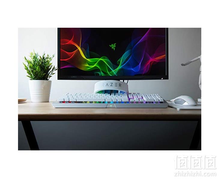 Razer 雷蛇 BlackWidow X 黑寡妇 机械游戏键盘 RZ03-01762000-R3M1716.91元包邮含税
