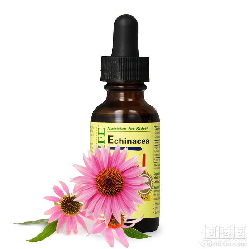 Childlife 童年时光 三驾马车紫锥菊滴剂 29.6ml/瓶（6个月-12岁）抗感冒必备史低19.8元包邮
