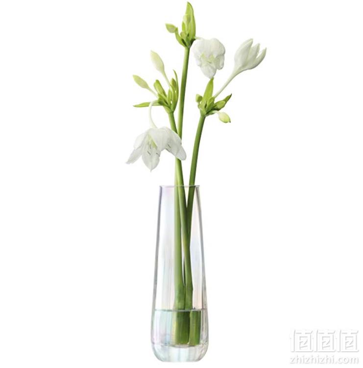 镇店之宝，LSA International 珍珠炫彩系列花瓶 20cm prime会员凑单免费直邮到手146.17元
