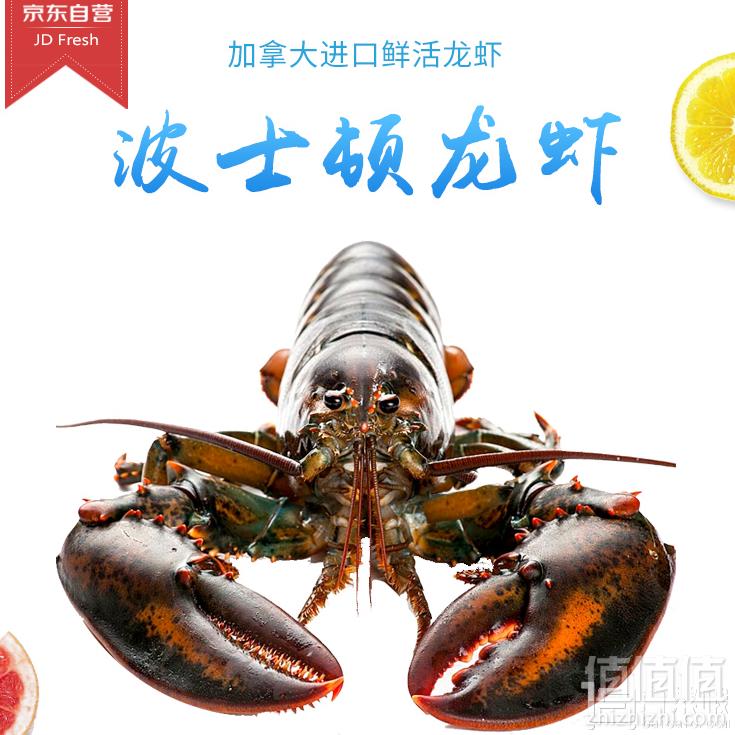 Gfresh 加拿大进口 鲜活波士顿龙虾 450~550g *2只+凑单品149.8元包邮（需领券）