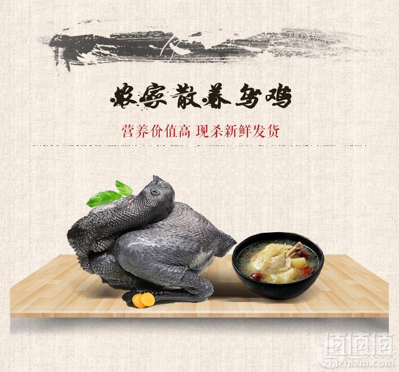 优旋 原生态散养乌鸡2只共4斤新低79元包邮（双重优惠）