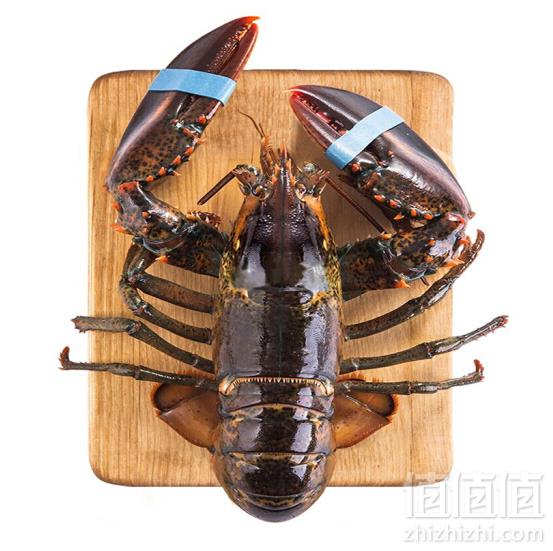 WECOOK 味库 鲜活加拿大龙虾（波士顿龙虾） 450~550g 2只149.8元包邮（74.9元/只）