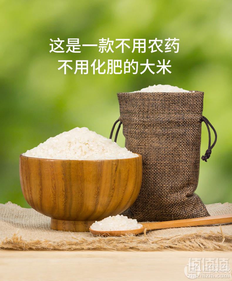 庄行谷满香 上海绿色新米蒸煮粥5斤17.9元包邮（需领券）