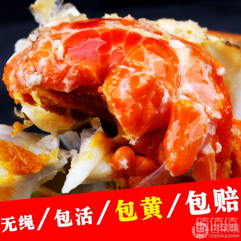 蟹正浓 六月黄现货鲜活小螃蟹 8只（1.0~1.2两）39.9元包邮（需领券）