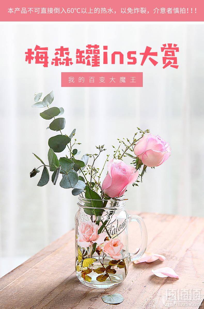 Evergreen 爱屋格林 大容量梅森罐玻璃杯公鸡杯800ml 多款24.9元包邮（需领券）