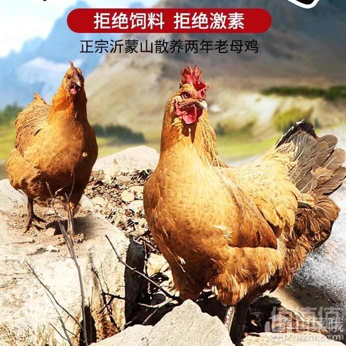 亲情沂蒙人 农家散养正宗土鸡 1000g*2只58元包邮