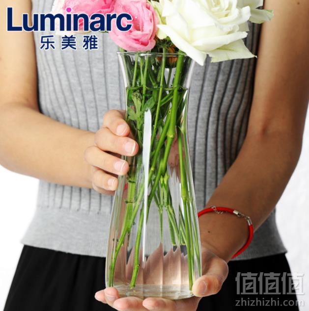 Luminarc 乐美雅 透明玻璃花瓶 高20cm14元包邮（需领券）