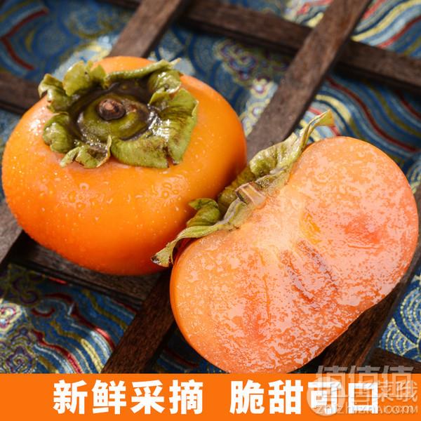 茄圃 山西脆柿 5斤9.8元包邮（需领券）