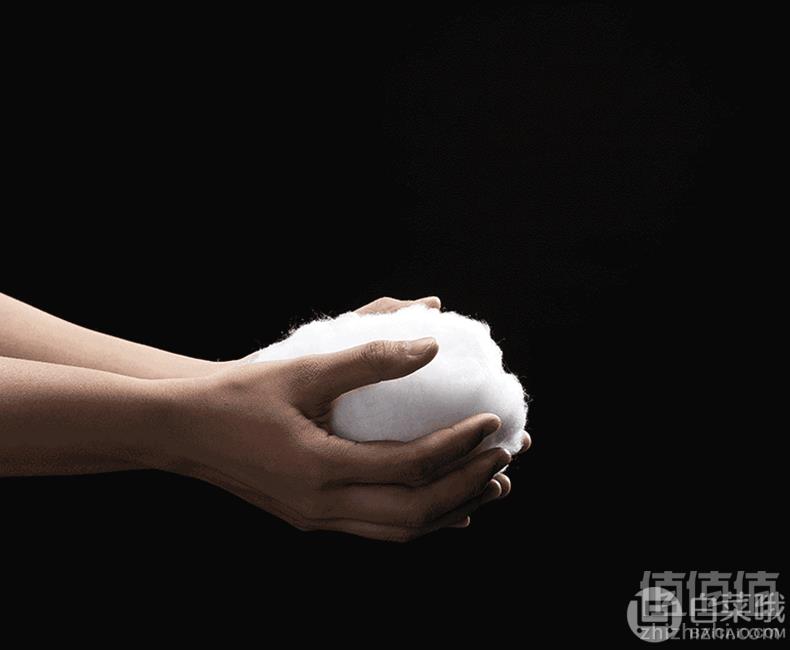 Somerelle 安睡宝 美国杜邦SILVADUR抗菌枕单个19.9元包邮（双重优惠）