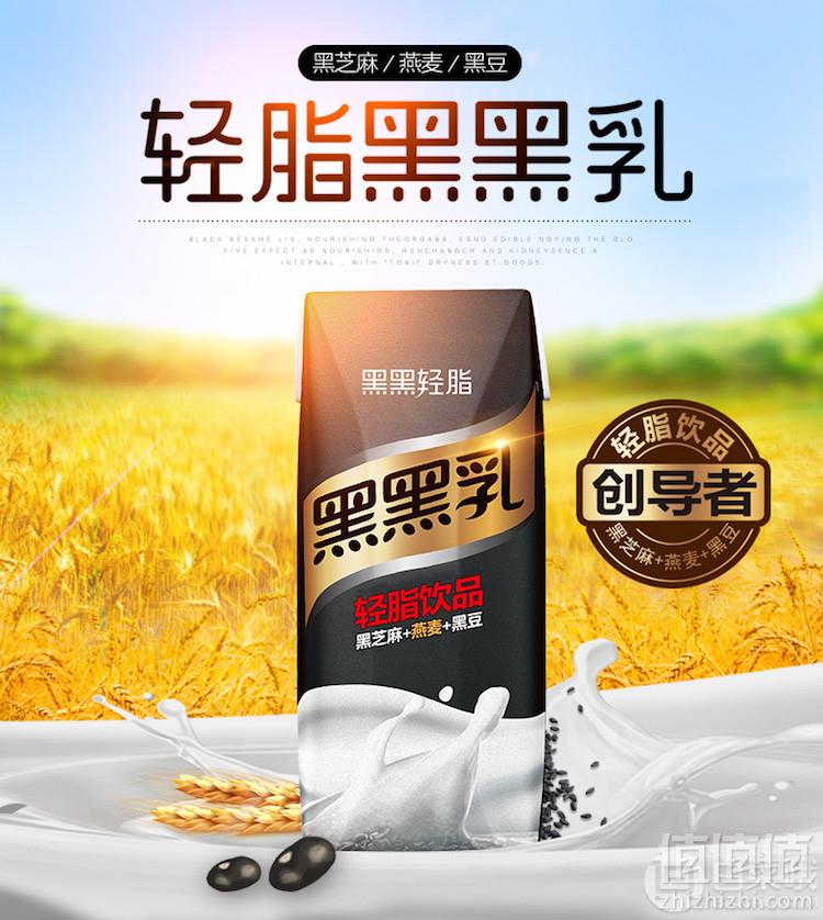 轻脂轻体饮品，南方黑芝麻 黑黑乳248ml*12盒新低24.8元包邮（需用优惠券）