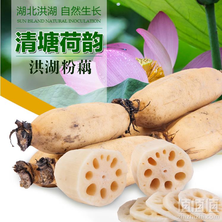 湖北特产，清塘荷韵 现挖现发新鲜带泥莲藕粉藕 5斤装24.9元包邮（需领券）