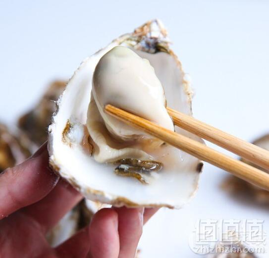 味库 鲜活乳山生蚝 90-70克/只 5斤29.9元包邮（需领券）