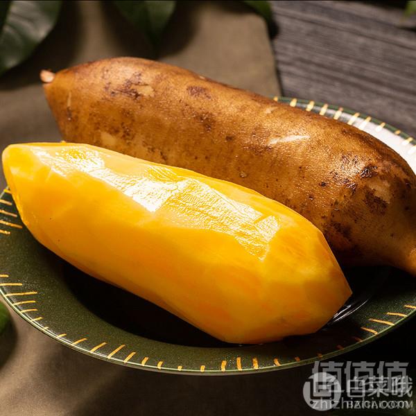 云南特产，青孖集 现摘新鲜雪莲果 11斤18.8元包邮（需领券）