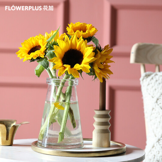 FlowerPlus 花加 简花单品鲜花28.9元包邮（需领券）