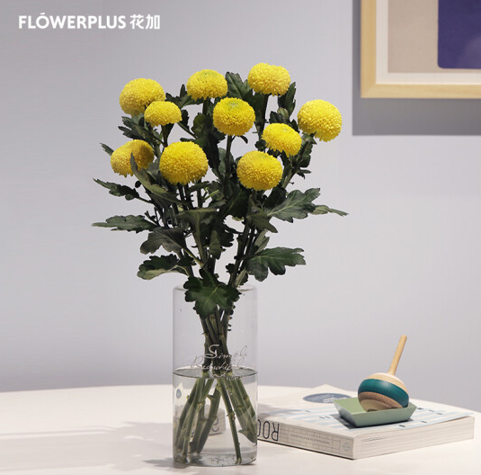 FlowerPlus 花加 简花单品鲜花28.9元包邮（需领券）