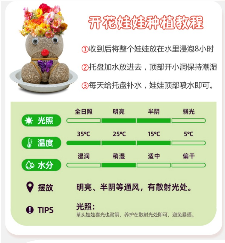 春速 草头娃娃小盆栽（送盆栽+肥料）4.8元起包邮（需领券）